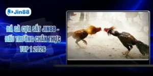 Đá Gà Cựa Sắt JIN88 – Đấu Trường Chân Thực Top 1 2026
